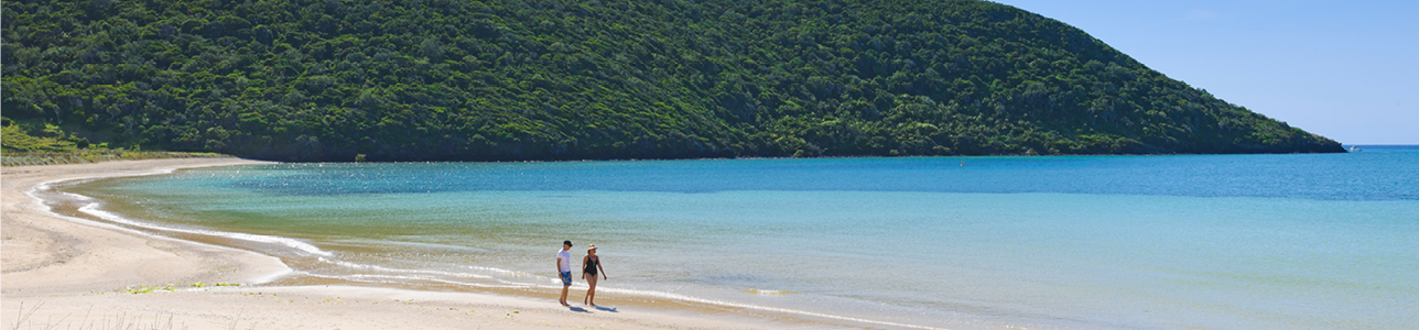Romantic walk on the waterfront on Lord Howe Island